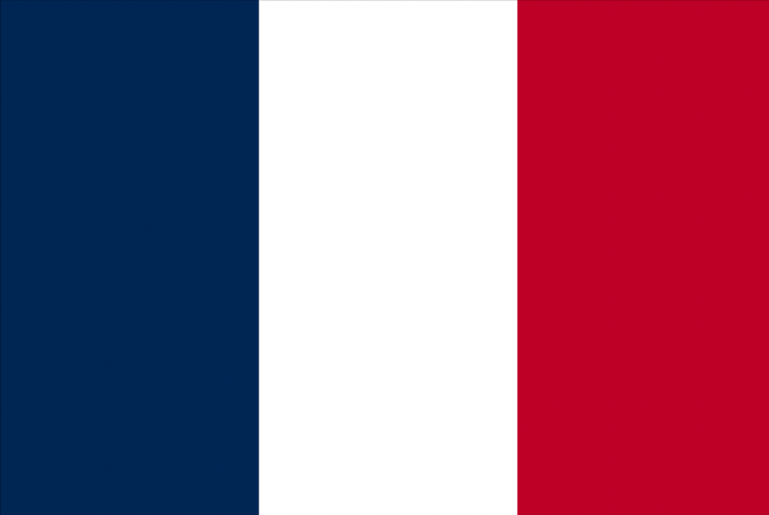 法国商标 France Trademark
