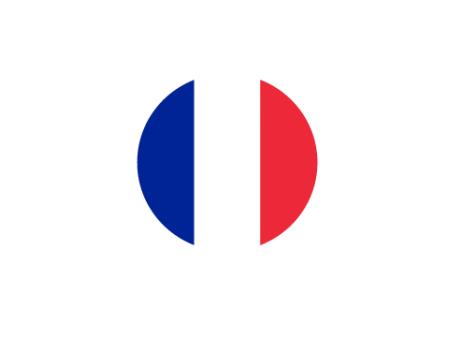 法国商标 France Trademark